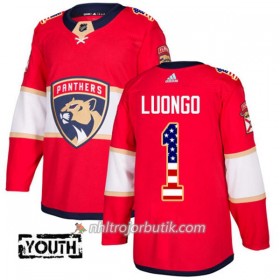 Barn Ishockey Florida Panthers Tröja Roberto Luongo 1 Adidas 2017-2018 Röd USA Flag Fashion Authentic